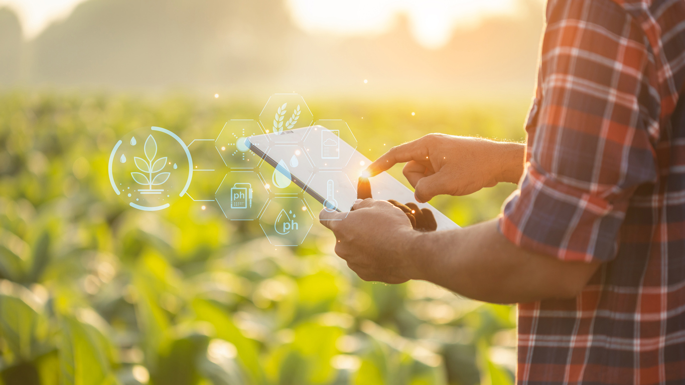 Alt: Digitalização no agronegócio: Como a tecnologia está revolucionando a produção no campo